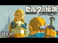 【実況】ゼルダの伝説BotW　＃６１【ねこ】