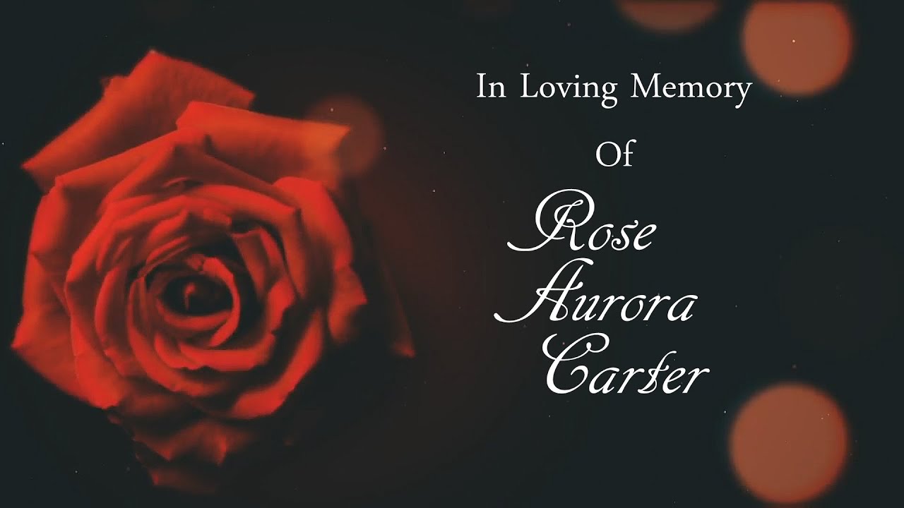 Beautiful Rose Jealous Of The Angels Little Sister’s Funeral Video