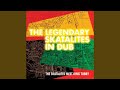Miniature de la vidéo de la chanson African Dub
