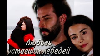 картинка: Эмир и Рейхан || Любовь уставших лебедей || Yemin