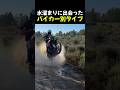 水溜まりに出会ったバイカー別タイプ