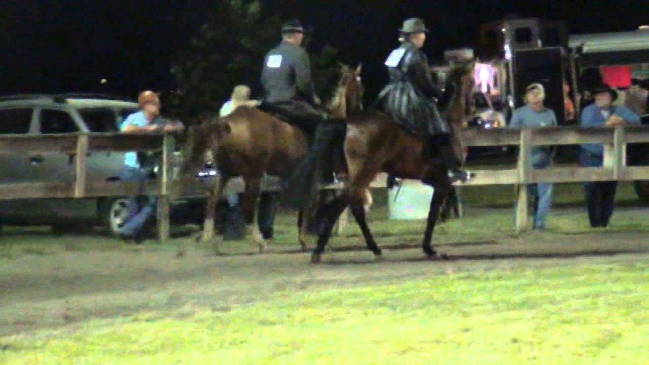 Keg Shod Racking Rack N Roll Horse Show August 17, 2013 YouTube