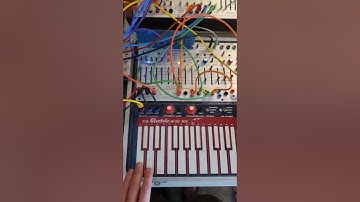 Buchla 248 MARF - Fun with nested loops
