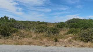 West Coast National Park