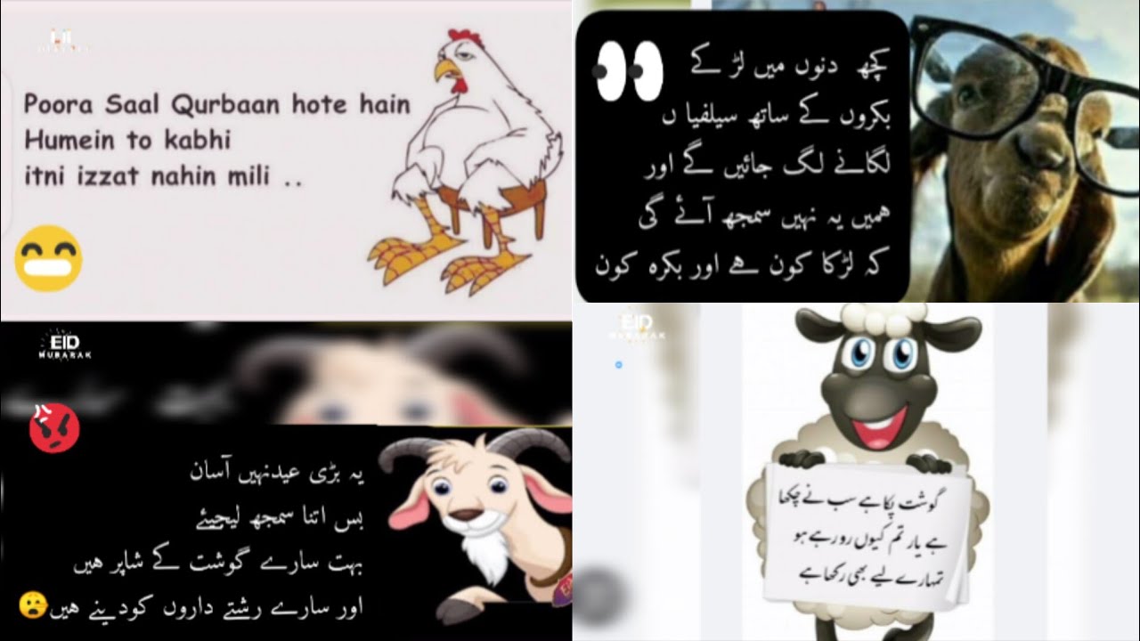 Eid ul Adha mubarak Status 2023 | Eid al adha funny memes 2023 
