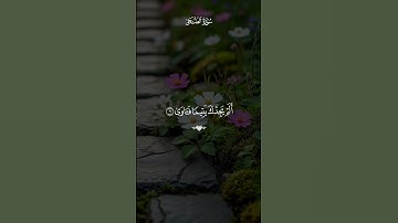 سورة الضحى بصوت القارئ ماهر المعيقلي 💙
