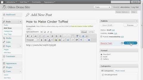 WordPress Lesson 3 - Embed Video from YouTube