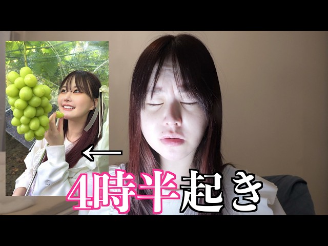 【雑談メイク】山梨のシャインマスカットを食う