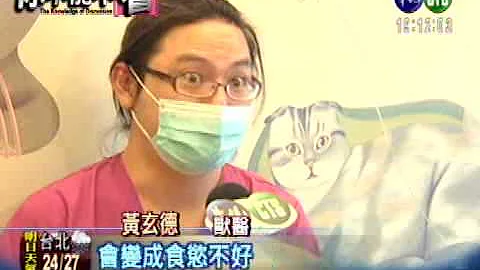 多关心牠一点! 宠物也有忧郁症 - 天天要闻