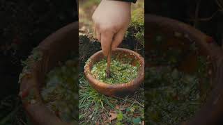 Forest Cooking: Open-Fire Beef Steak and Smoked Cocktail