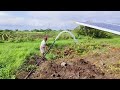 Madhuri Solar 7.5 hp pump