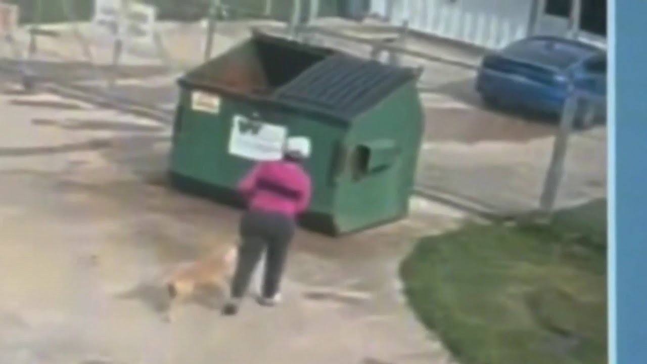 Dog dies after being abandoned, tied to dumpster in Humble - YouTube