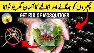 machar bhagane ka tarika Gharelu totka \/ homemade mosquito killer \/ get rid of mosquitoes.