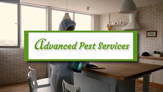 Pest Control in Greensboro, NC | Advanced Pest Services, LLC.