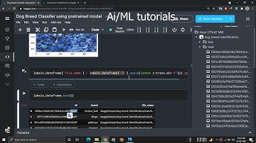 Dog Breed Classifier | Stacked Pretrained Model | 95% accurate