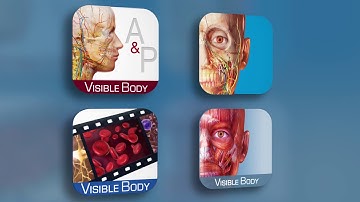 Visible Body Courseware | Hear from the VB Design Team and Instructors