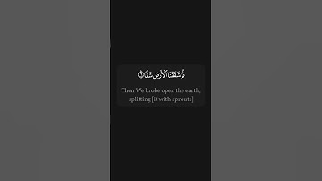 #القرآن_الكريم #quran سورة عبس | الجزء الثالث من المقطع