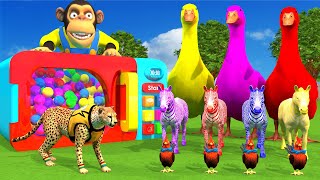4 Giant Duck With Monkey Baby 6 Animals Zebra Panther Find The Mysterious Egg Transfiguration