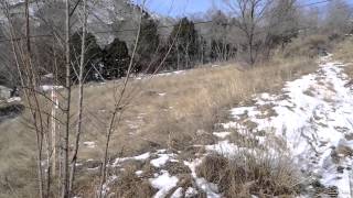 Garage Foundation Cost Denver 303-797-8908