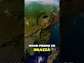 Il Caso del Congo nella Conferenza di Berlino #storia #pilloledistoria #colonialismo