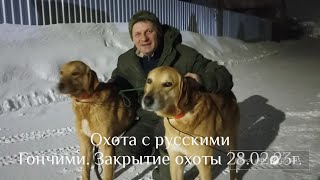 охота с русскими гончими.удачное закрытие охоты 28. 02. 23