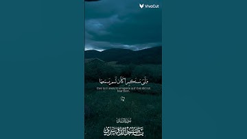 أكتب شيء تؤجر عليه 🙃🖤 #quran #المصحف #تلاوة_خاشعة #ياسر_الدوسري