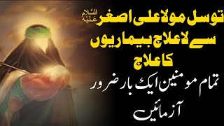 Hazrat Ali Asghar Madrasa tul qaaim Allama shahryar Raza Abidi