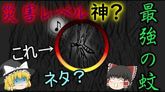 ワンパンマンヒーローノーバディノウズ ワンパンマンアニメ ワンパンマン最新話175 ワンパンマンmad ワンパンマン173 ワンパンマントレーニング ワンパンマン172話 ワンパンマン考察 ワンパンマンシーズン2 ワンパンマン主題歌 ワン