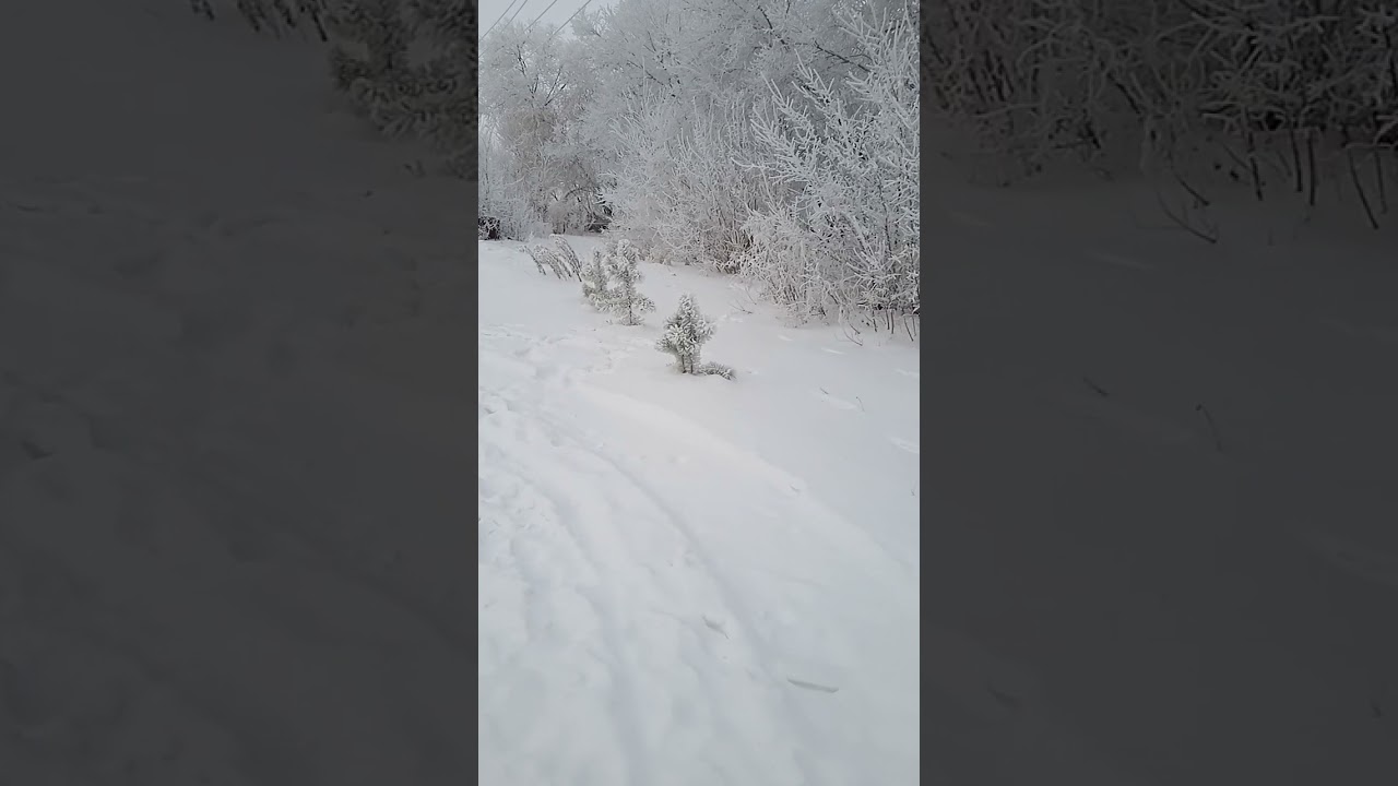 ОДЕВАЙ...ЗИПУН...