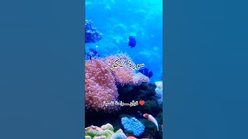 سورة الكوثر لا تتجاهلها.. #القرآن_الكريم #المصحف #اكسبلور #explore #دويتو #لايك