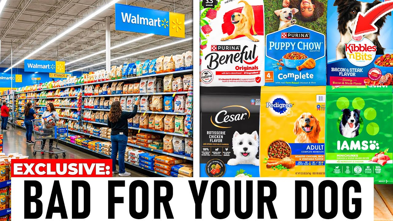 8 US Dog Food Brands You Should NEVER Buy (And What’s Actually Safe)