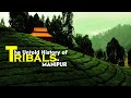 The untold history of tribals in manipur