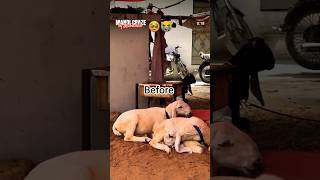 Before & After 🐂😣❤️‍🩹🫀🥀 #subscribe #subscribe
