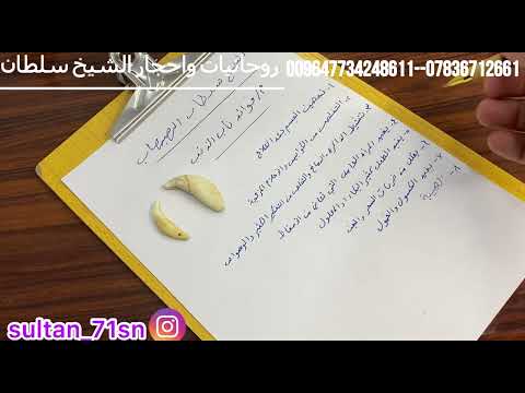 ناب الذئب الاصلي وفوائده الروحانية وطريقة فحص الاصلي