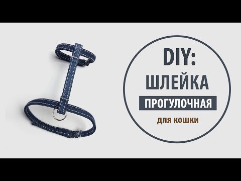 DIY: Джинсовая шлейка для кошки на липучках своими руками | Tutorial Jeans recycle