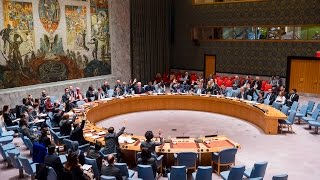 UN Security Council adopts Resolution on Youth, Peace and Security