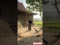 Cahaya Pagi dan Hati yang Tenang ☀️ | Kehidupan di Desa #shorts