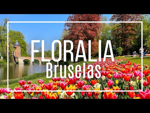 Floralia, Bruselas 🌷: La exposición más grande de flores de Bélgica 💐[2021]