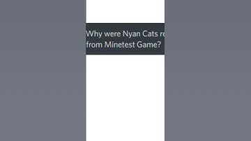 Why Were Nyan Cats Removed from Minetest Game!? #Shorts