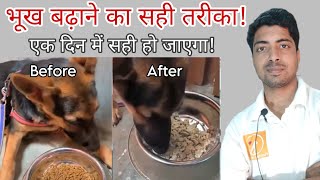 How to increase appetite in dog with Home remedy. Dog not eating.
