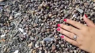 Malmøya Island In Norway🇳🇴