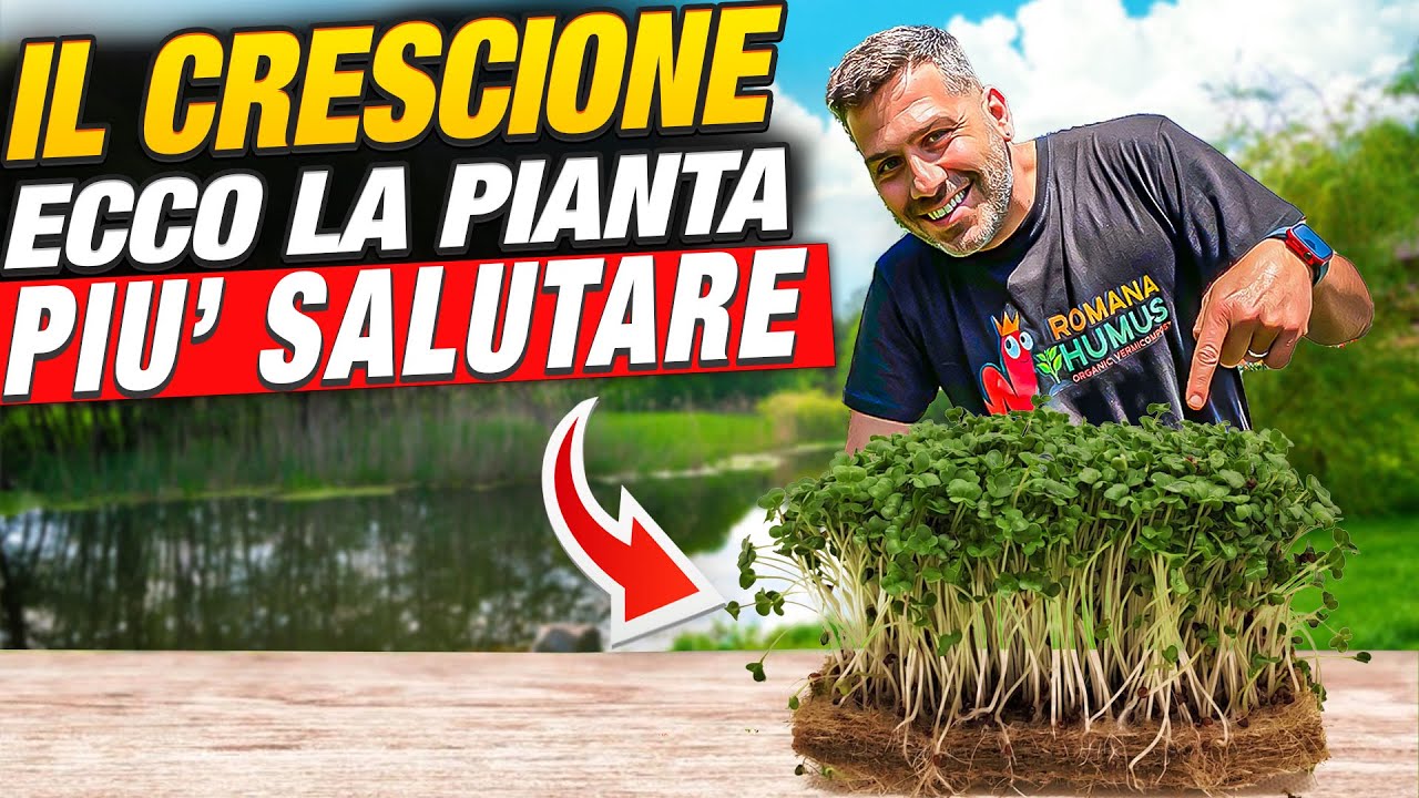 Il Potere Incredibile del Crescione ti SORPRENDERA'. Un Miracolo della Natura !!!