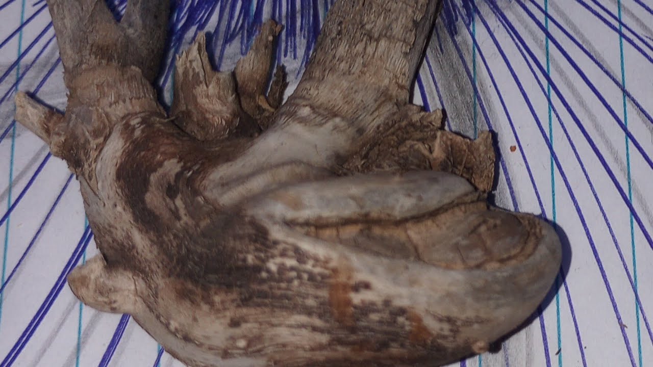 🚨💀🚨 BOYCOTT DEMONIC EBAY SCAM ALERT!!! PART || MOODYA-46