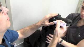 How to instill Optixcare Lube in pet's eyes?