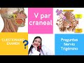 Nervio trigémino -Preguntas sobre el V par craneal