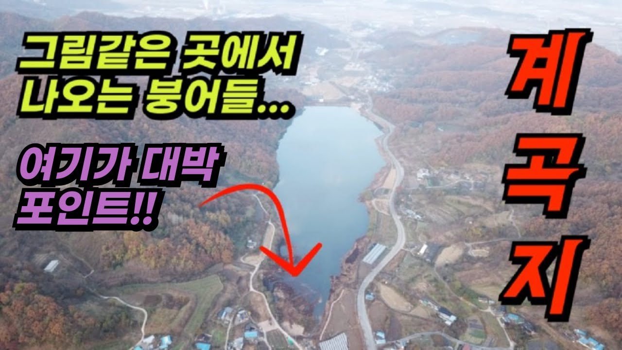 계곡지 상류권에서 붕어낚시! 생미끼에 막 나오는 붕어들... 부럽다!!