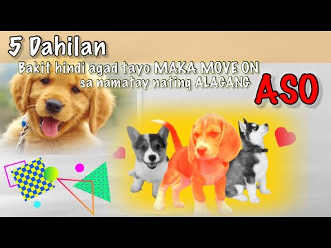 5 Dahilan Bakit hindi agad tayo MAKA- MOVE ON sa Namatay nating ALAGANG ASO | Furbabies | Furparents