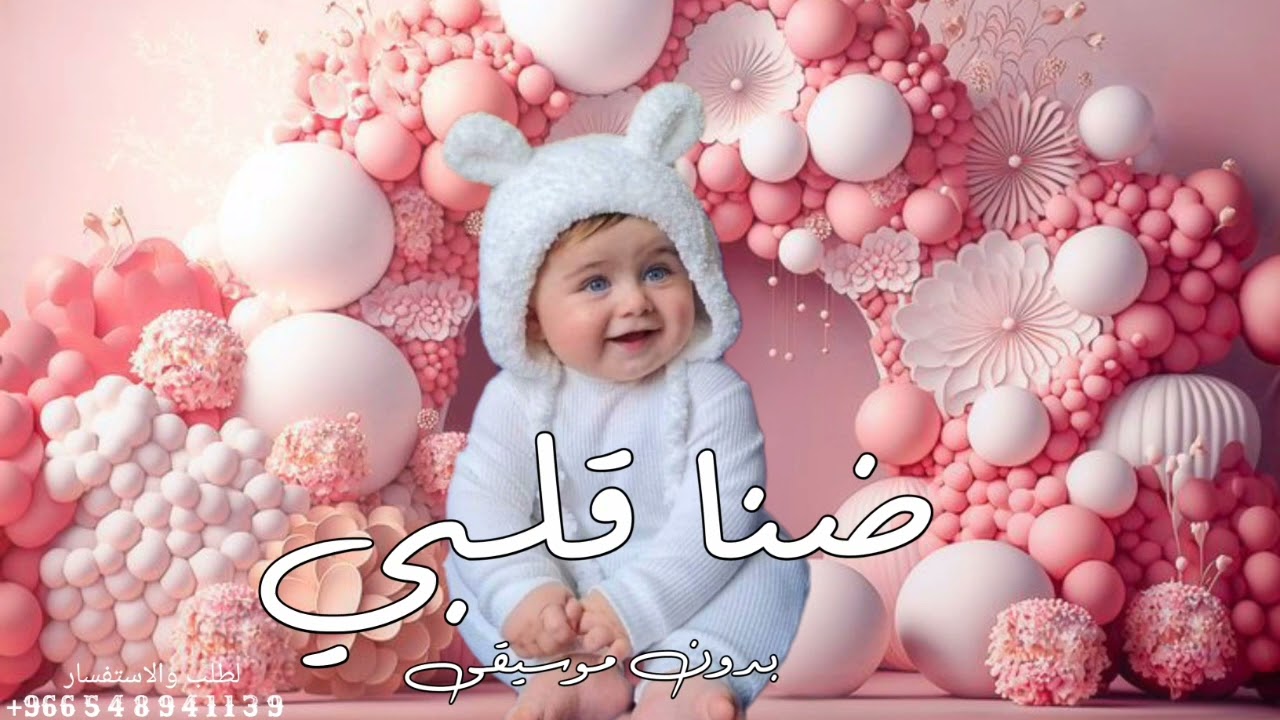 اغنية مولود 2024 ضنا قلبي - بدون موسيقى - تنفيذ بلاسماء - حصري