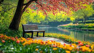 RESTORE YOUR NERVOUS SYSTEM 🌿 Healing music for the mind, anxiety relief, sleep music