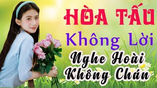 Nhạc Hòa Tấu Rumba Trong Veo | Hòa Tấu Rumba Guitar Cha Cha | Nhạc Cafe Buổi Sáng